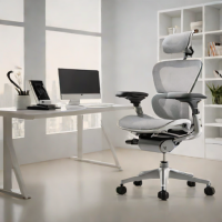Ergohuman Chair