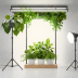 Edyn Garden System