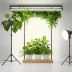 Edyn Garden System