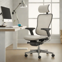 Ergohuman Highback