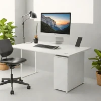 EcoLift E1