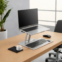 Ergotron Laptop Mount