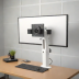 Ergotron LX Mount (Articulating Single Monitor)