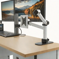 Ergotron LX Mount (Small Desk Clamp)
