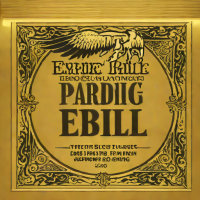 Ernie Ball Paradigm Electric Strings