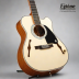 Epiphone Masterbilt DR-500RA