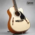 Epiphone Masterbilt DR-500RA
