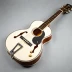 Epiphone Masterbilt Century FB-5