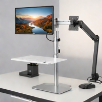 Ergonomic Desk Mount System