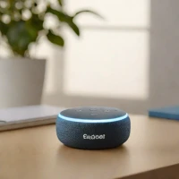 Echo Dot with Clock