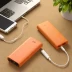 EasyAcc 20000mAh Power Bank