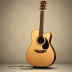 Eastman E20SS