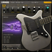 ernie ball Slinky Nickel-Plated Steel