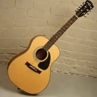 Epiphone Masterbilt DR-500R Natural