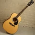 Epiphone Masterbilt DR-500R Natural