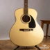 Epiphone Masterbilt DR-500R VS