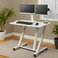 Ergotron WorkFit-TL Sit-Stand Workstation
