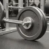 Eleiko XF Bumper