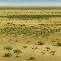 East Sudanian Savanna