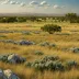 Edwards Plateau Prairie