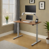ErgoFit Standing Desk