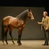 Equus – Dr. Dysart's 'normal' monologue (Shaffer)