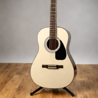 Epiphone A-110