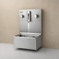 Elkay VRCT1S1