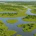 Erie Marsh Preserve