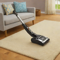 Eureka RapidClean Pro Lightweight Cordless Vacuum