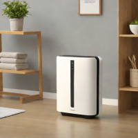 EcoFlow Home DB30 Dehumidifier