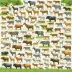 Encyclopedia of Life