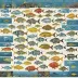 Encyclopedia of Ocean Sciences