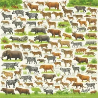 Encyclopedia of Biodiversity