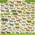 Encyclopedia of Biodiversity