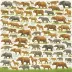 Encyclopedia of Evolutionary Biology