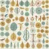 Encyclopedia of Genetics