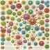 Encyclopedia of Immunobiology
