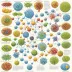 Encyclopedia of Biological Chemistry