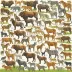 Encyclopedia of Animal Behavior