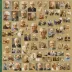 Encyclopedia of Gerontology