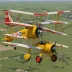 EAA Biplane P-2