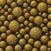 Echinocystites pomum