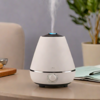 Everlasting Comfort Ultrasonic Diffuser