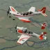Extra 300L