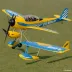 E-flite Beast
