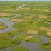 Elmley Marshes