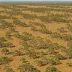 Einasleigh Upland Savanna