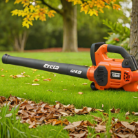 Echo 80V Lithium-Ion Cordless Leaf Blower (DPBV800)