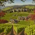 Eyrie Vineyards